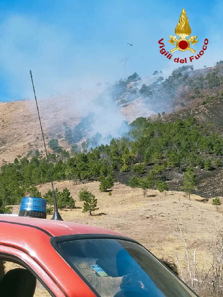 GIVOLETTO – Vasto incendio boschivo in zona collinare