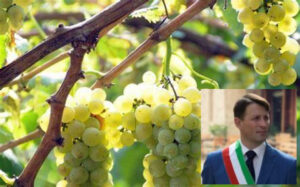 MAZZE’ – L’associazione Terra dell’Erbaluce si è riunita per il “Sentiero delle Pietre Bianche”