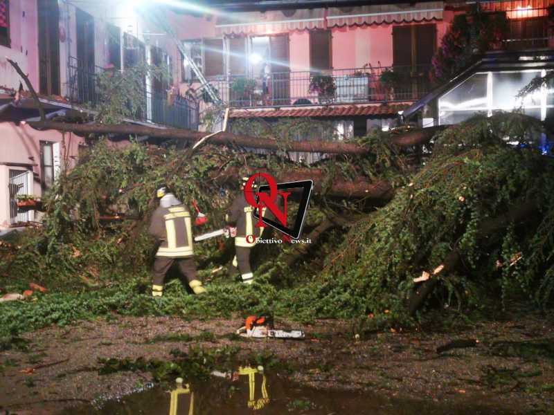 OGLIANICO – Maltempo: alberi sradicati danneggiano il tetto di un’abitazione (FOTO E VIDEO)