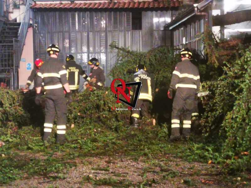 OGLIANICO – Maltempo: alberi sradicati danneggiano il tetto di un’abitazione (FOTO E VIDEO)