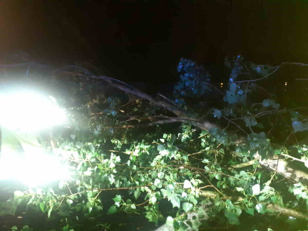 SETTIMO TORINESE – Albero caduto in autostrada tra Volpiano e Settimo Torinese 1 SETTIMO TORINESE – Albero caduto in autostrada tra Volpiano e Settimo Torinese