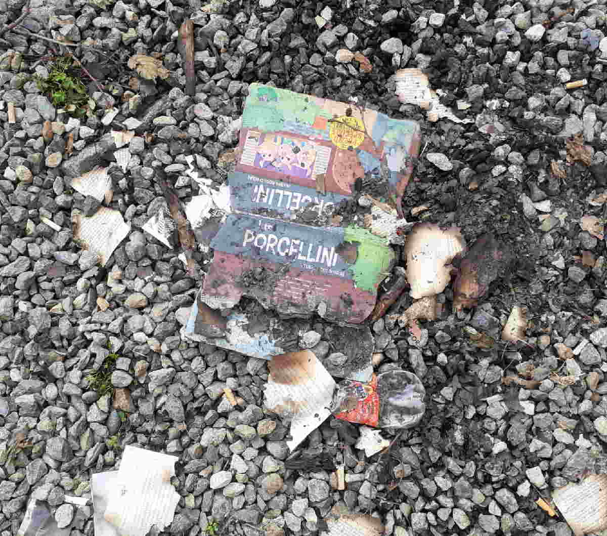 CHIAVERANO – Atti vandalici: in ultimo libri bruciati (FOTO)