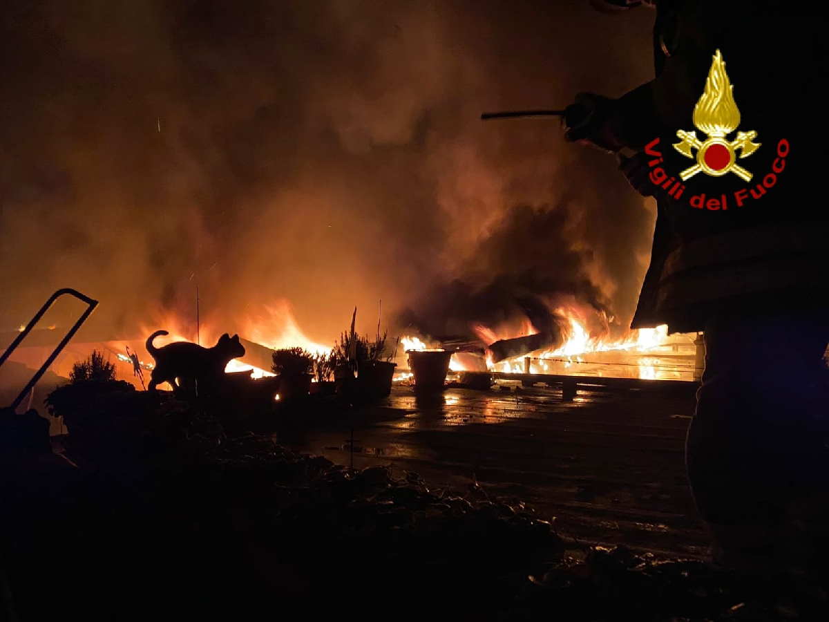 CASELLE – Vasto incendio in edificio industriale; falegnameria distrutta e 4 attività danneggiate (FOTO)