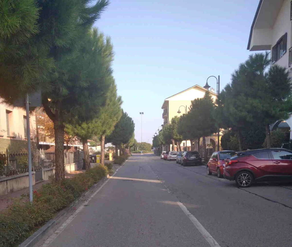 LEINI - Spazzamento strade: cittadini inferociti per la pioggia di multe 1 LEINI - Spazzamento strade: cittadini inferociti per la pioggia di multe