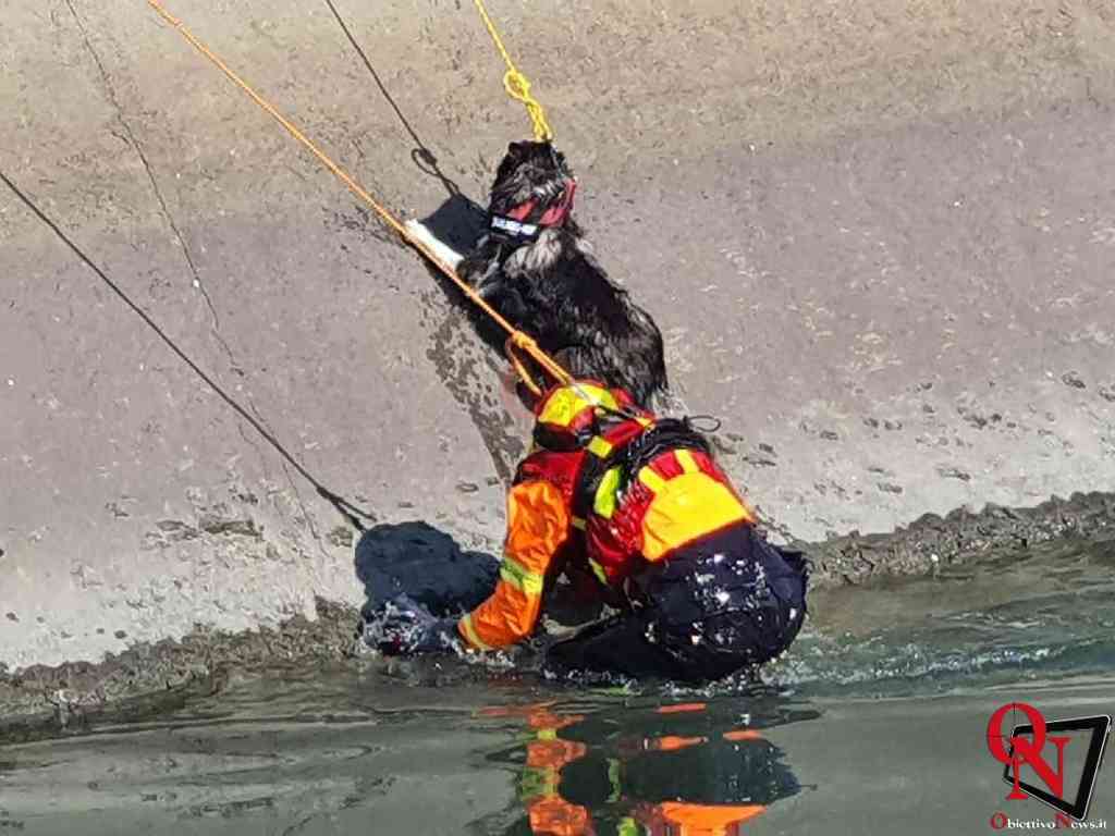 San raffaele cimena cagnolino nel canale