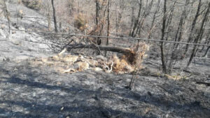 BELMONTE – L’Ente di Gestione dei Sacri Monti aggiudicatario di fondi del PSR (FOTO)