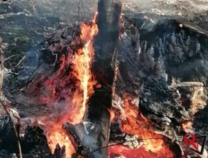 CHIAVERANO – Vasto incendio boschivo; operazioni durate diverse ore (FOTO)