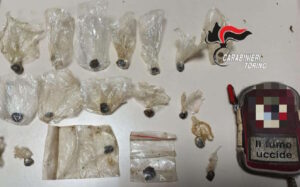 CHIAVERANO – Coltivavano marijuana nel giardino di casa: un arresto e una denuncia
