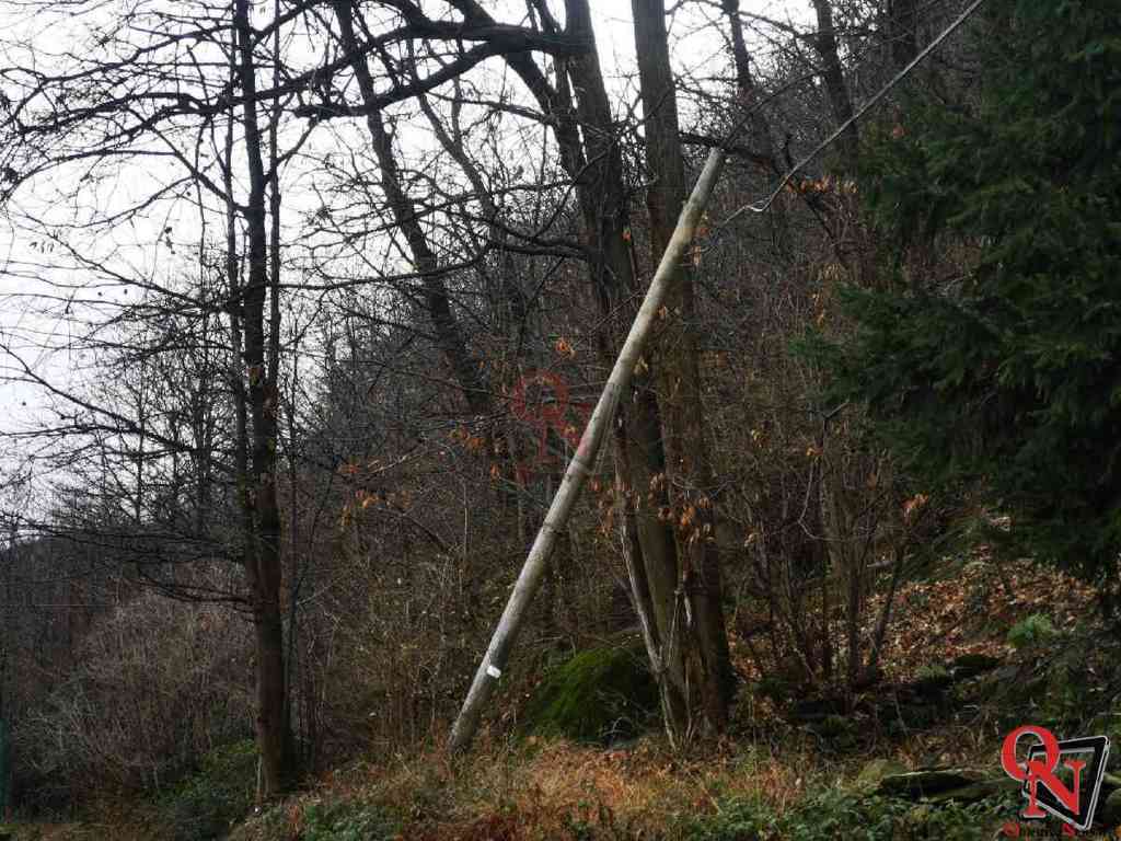 CUORGNÈ – Campore: pianta cade su cavo e provoca la caduta di 4 pali telefonici (FOTO)
