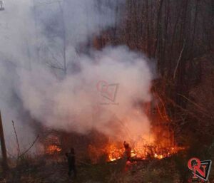 SPARONE – Incendio boschivo in località Ceresetta; intervento degli AIB
