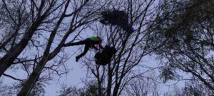 BROSSO – Parapendista precipita sul Monte Cavallaria, salvato dal Soccorso Alpino (FOTO)