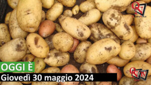 OGGI È – 30 maggio Giornata Internazionale della Patata (VIDEO)