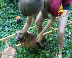 ASTI -Cagnolino cade in un pozzo: salvato dai Vigili del Fuoco
