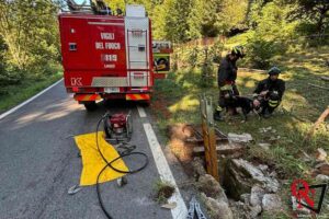 COASSOLO – Cagnolino incastrato in un canale di scarico: salvato dai Vigili del Fuoco