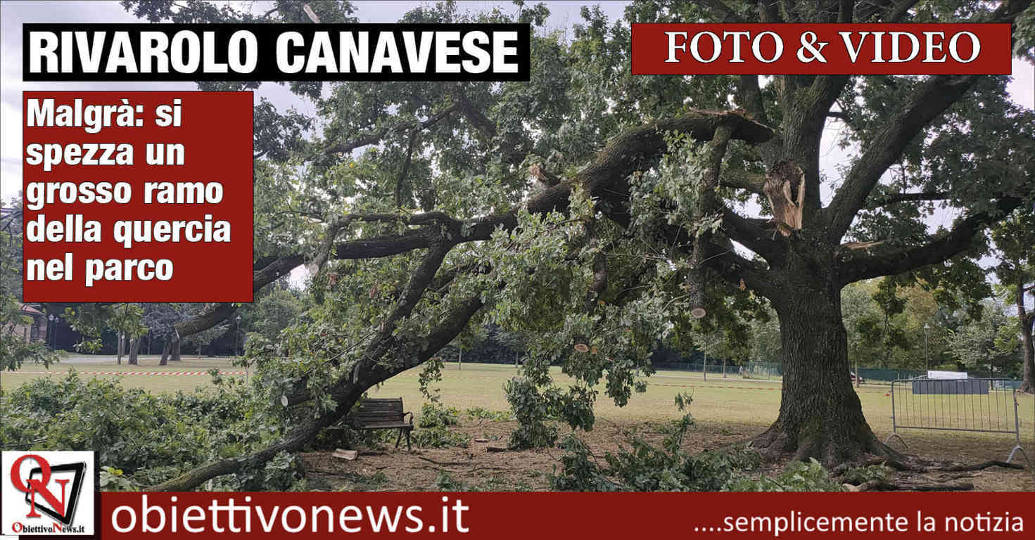 RIVAROLO CANAVESE – Malgrà: si spezza un grosso ramo della quercia nel  parco (FOTO E VIDEO)