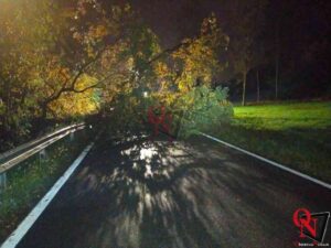 CASTELLAMONTE – Fraz.Filia: albero cade e blocca l’Sp59, verso Castelnuovo Nigra (FOTO)