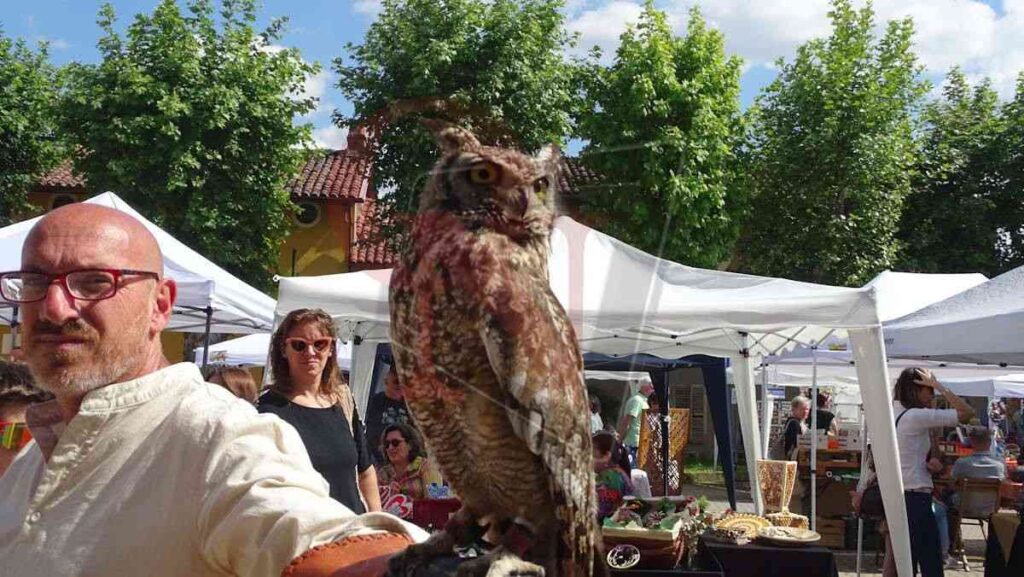 BAIRO - Numerose bancarelle, musica e divertimento al Mercatino di Primavera (FOTO E VIDEO) 4 bairo mercatino primavera4 res