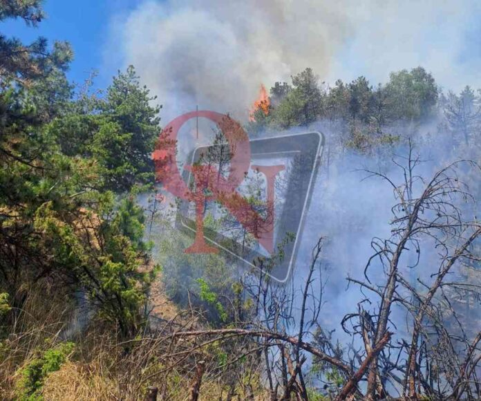 baldissero incendio boschivo vidracco