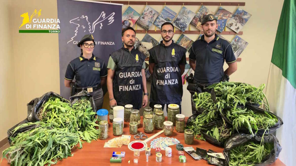 aveva una piantagione ad ala di stura arrestata