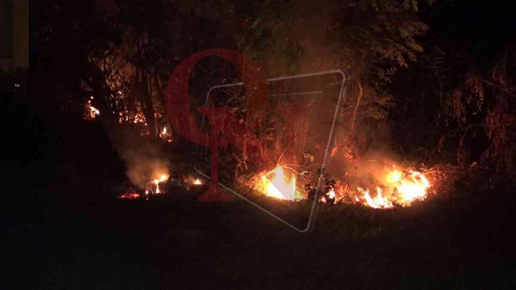 L'incendio in via Tiro a Segno a Rivarolo Canavese è divampato nel sottobosco