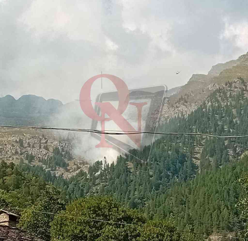 Incendio boschivo a monte di località Boschietto frazione Forzo di Ronco Canavese