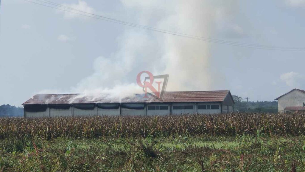 rivarolo canavese cascina in fiamme ad argentera