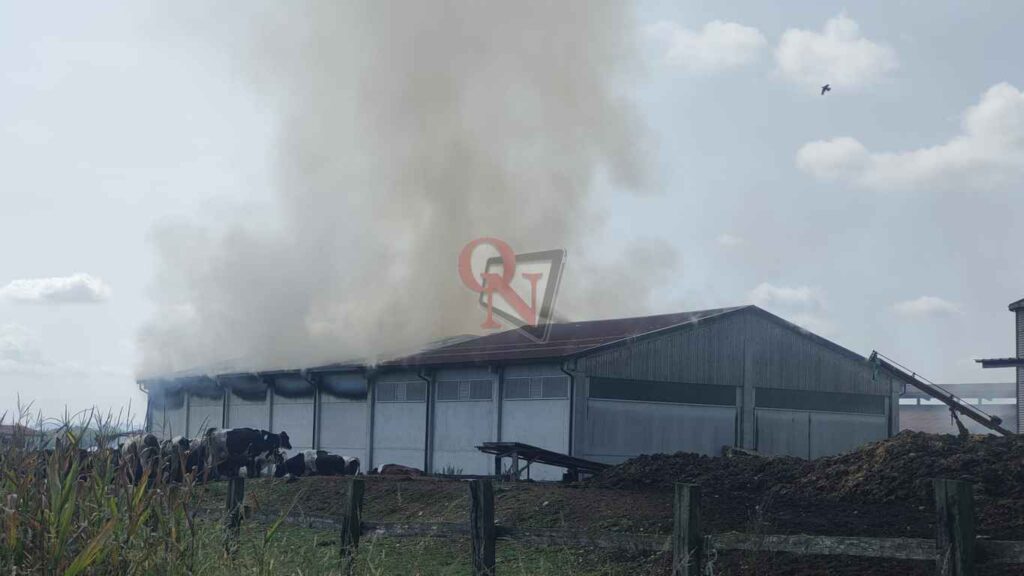 rivarolo in fiamme il tetto della cascina ad argentera