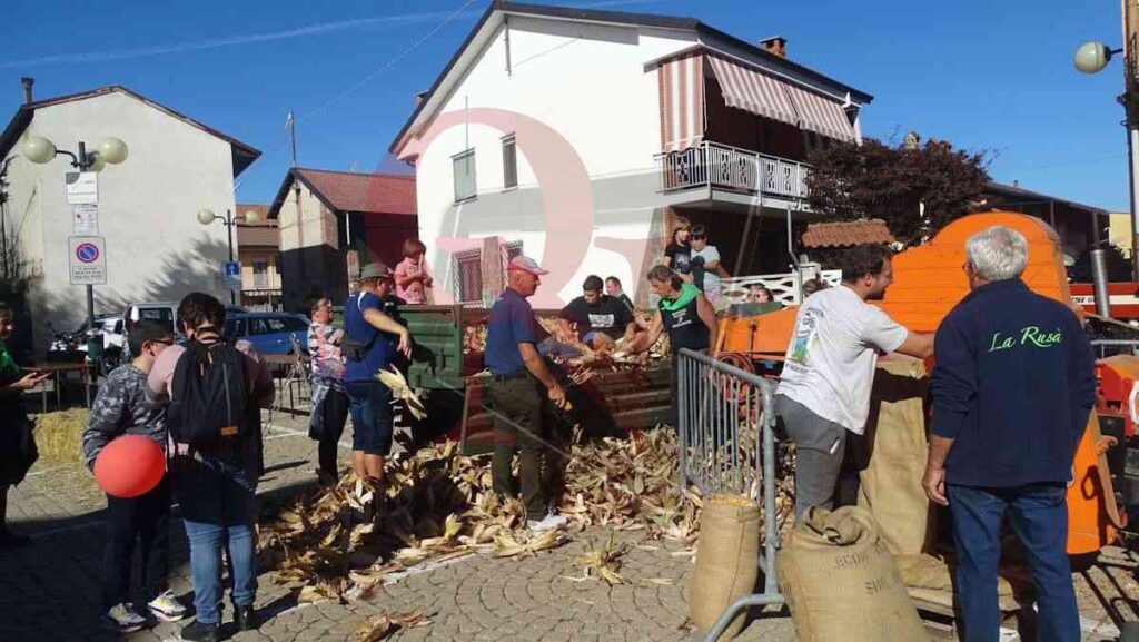 la tradizionale trebbiatura a bosconero durante la fiera agricola
