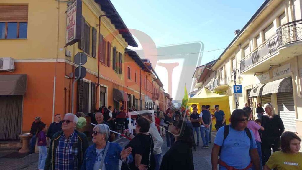 tanta gente a bosconero per la fiera agricola