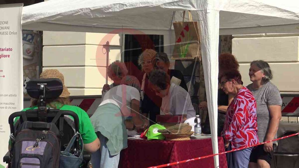 A castellamonte Cammin'Arte e volontariato