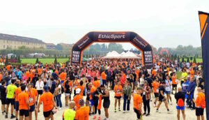 VENARIA REALE – Sciame di calabroni attacca un gruppo di podisti della Maratona Reale