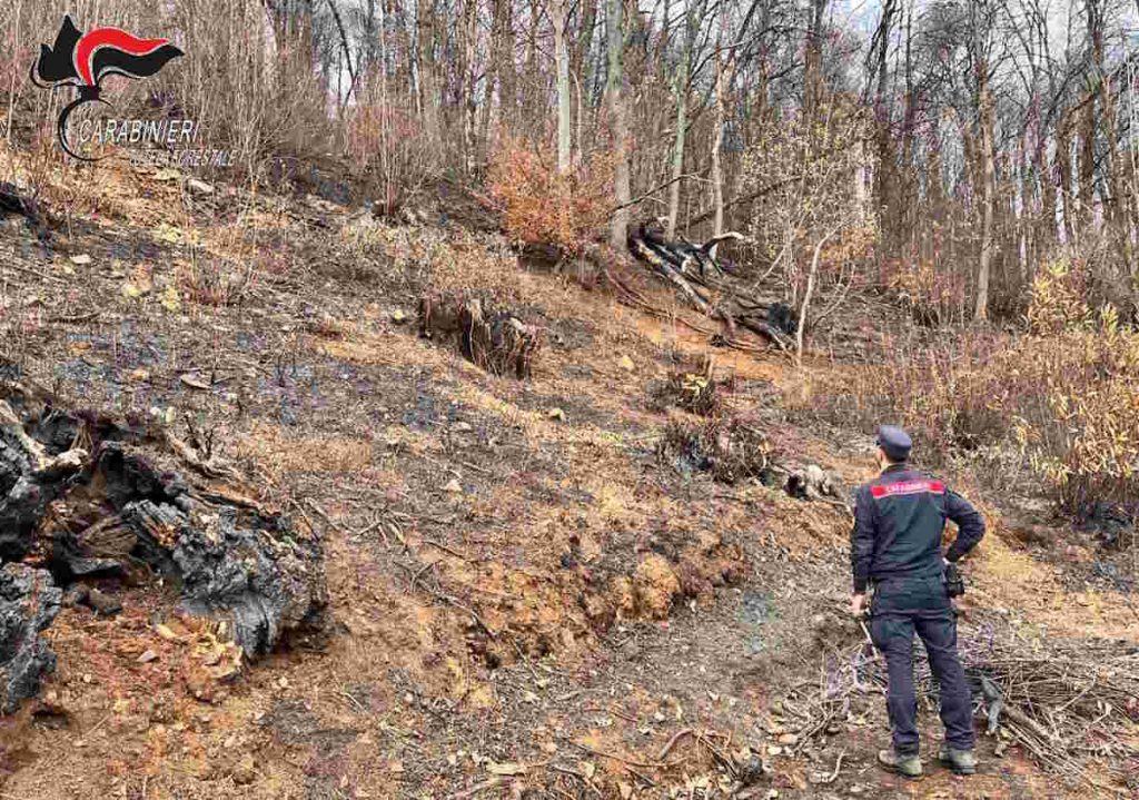 Coassolo incendio boschivo