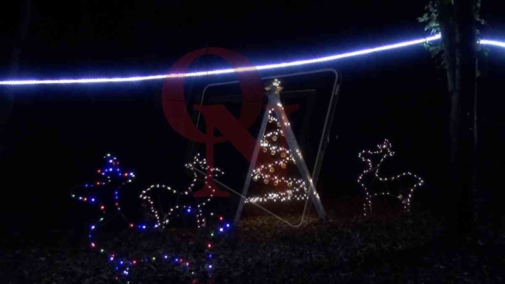 prascorsano bosco incantato