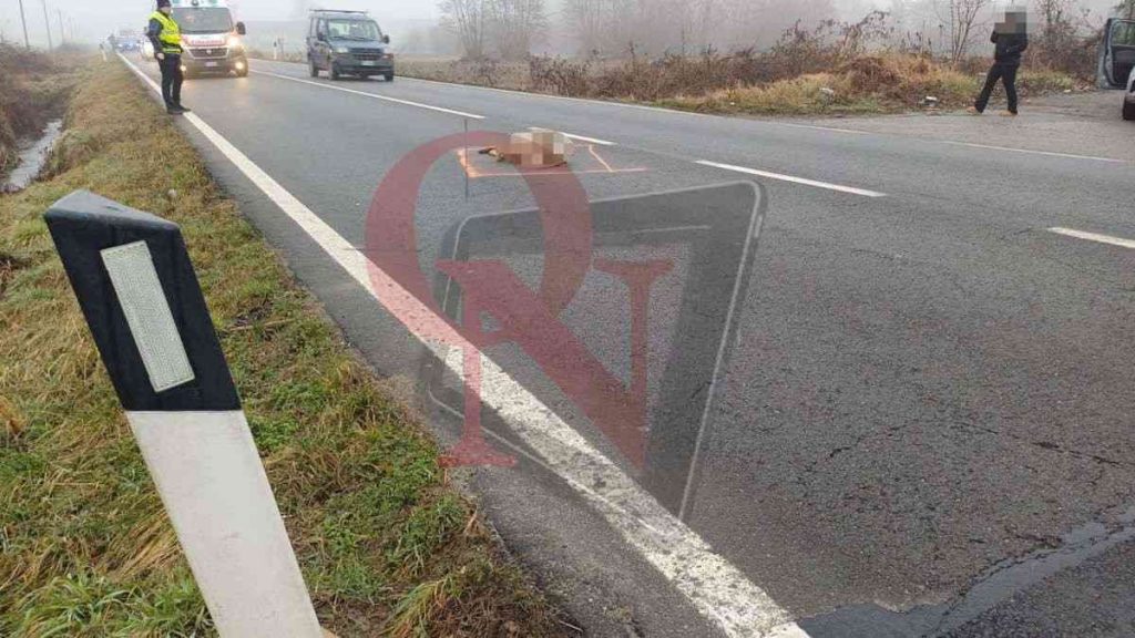 volpiano incidente investito capriolo