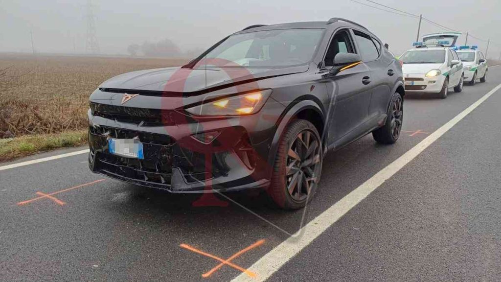 volpiano incidente investito capriolo