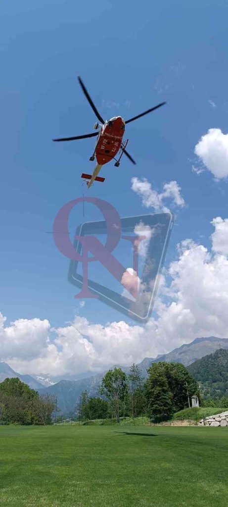 frassinetto punta rama