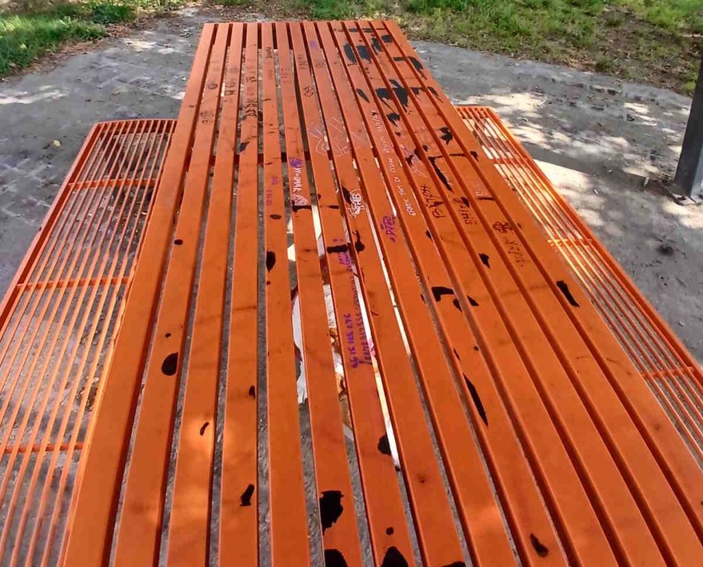 ciriè imbrattato il giardino di fido