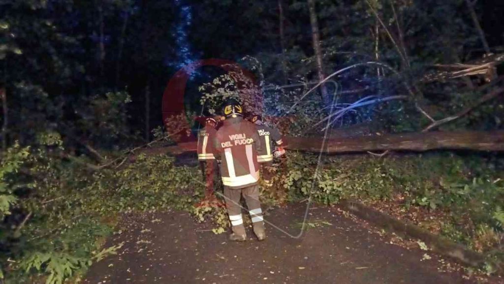 cuorgnè albero caduto a santa lucia