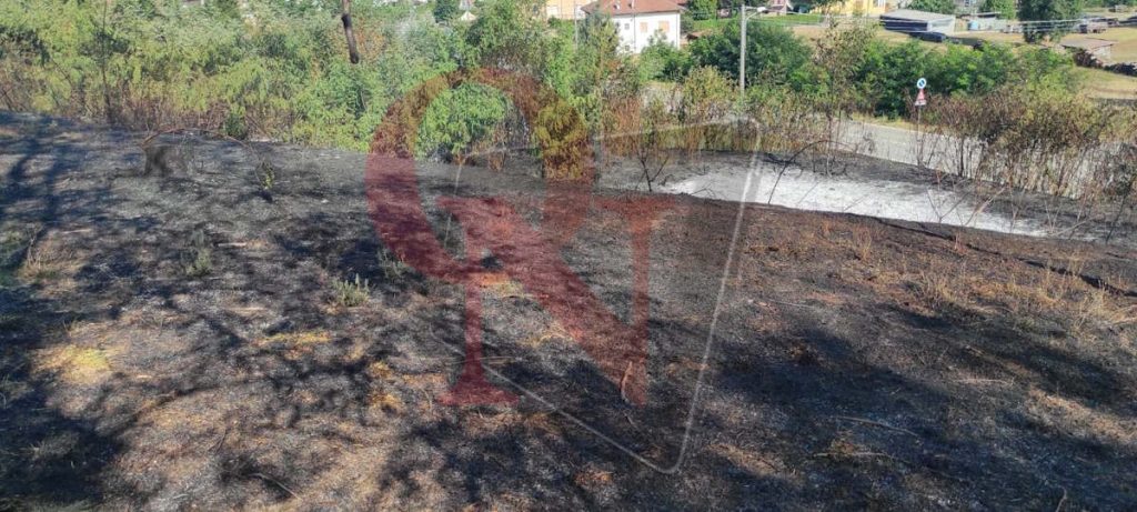candia canavese incendio boschivo verso barone canavese