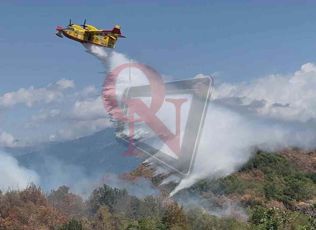 Pavone Canavese incendio boschivo