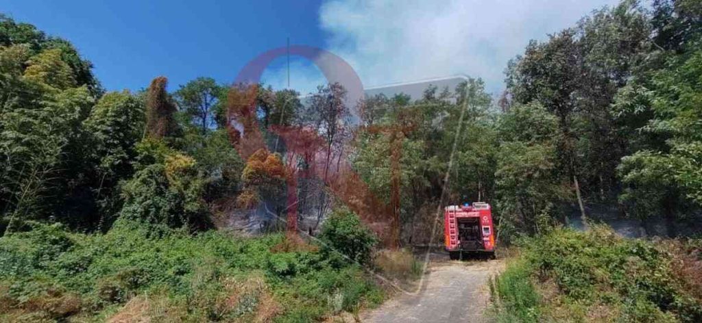 strambino incendio boschivo