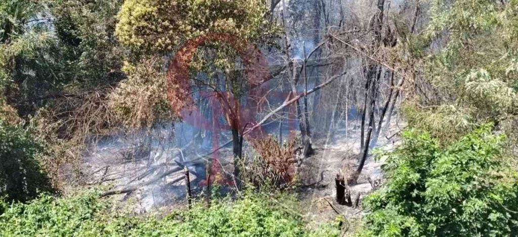 strambino incendio boschivo