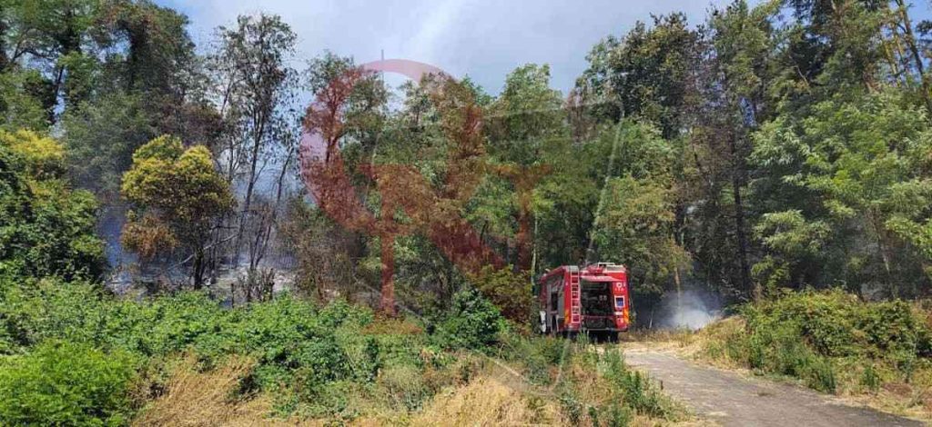 strambino incendio boschivo