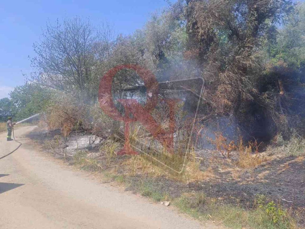 bollengo incendio boschivo al lago blu