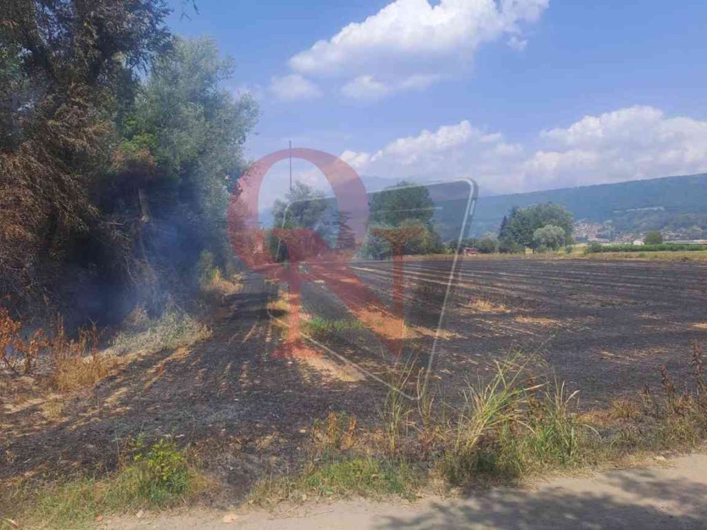 bollengo incendio boschivo al lago blu