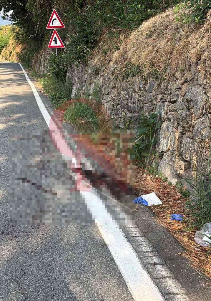chiesanuova cuorgnè incidente moto
