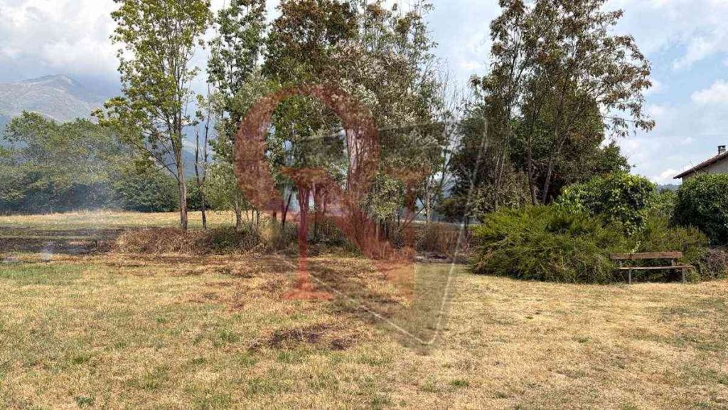 colleretto castelnuovo incendio boschivo