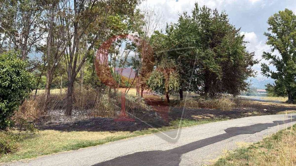 colleretto castelnuovo incendio boschivo