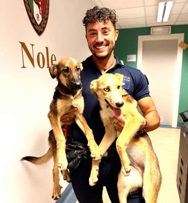 nole salvati due cagnolini