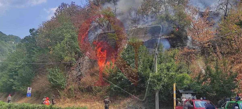 pont canavese frassinetto incendio boschivo
